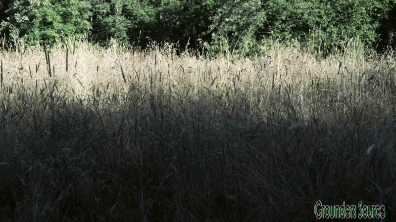 The Wanheda Part Two Season Three Episode Two-1638
