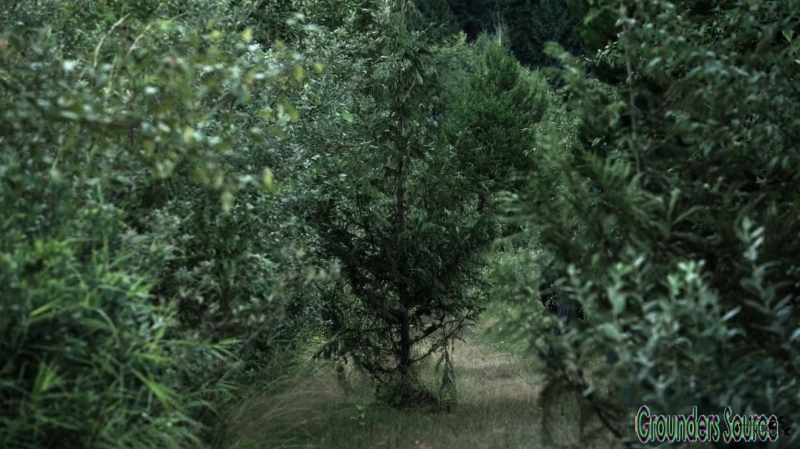 The Wanheda Part Two Season Three Episode Two-1462
