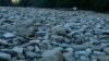 the100302_0412.jpg