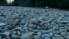 the100302_0413.jpg