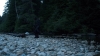 the100302_0418.jpg