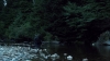 the100302_0438.jpg