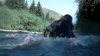 the100302_0447.jpg