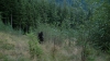the100302_0542.jpg