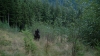 the100302_0543.jpg