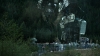 the100302_0549.jpg