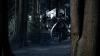 the100302_0796.jpg