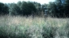 the100302_0944.jpg