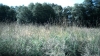 the100302_0945.jpg