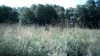the100302_0946.jpg