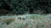 the100302_0947.jpg