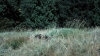 the100302_0948.jpg