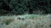 the100302_0949.jpg