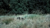 the100302_0950.jpg