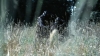 the100302_0966.jpg