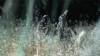 the100302_0967.jpg