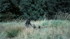 the100302_0968.jpg