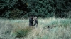 the100302_0970.jpg