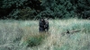 the100302_0971.jpg
