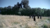the100302_1148.jpg