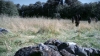 the100302_1160.jpg