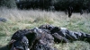 the100302_1161.jpg