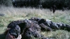 the100302_1162.jpg