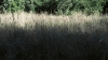 the100302_1170.jpg