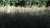 the100302_1171.jpg