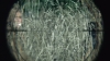 the100302_1174.jpg