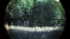 the100302_1192.jpg