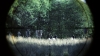 the100302_1193.jpg