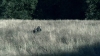 the100302_1200.jpg