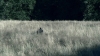 the100302_1201.jpg