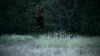 the100302_1206.jpg