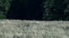 the100302_1227.jpg