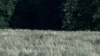 the100302_1228.jpg