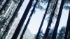 the100302_1230.jpg