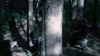 the100302_1247.jpg