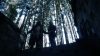 the100302_1253.jpg