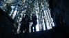 the100302_1254.jpg