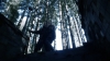 the100302_1255.jpg