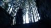 the100302_1256.jpg