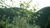 the100302_1259.jpg