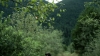 the100302_1260.jpg