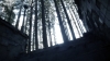 the100302_1453.jpg