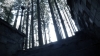 the100302_1454.jpg
