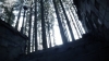 the100302_1455.jpg