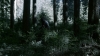 the100302_2463.jpg