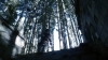 the100302_2470.jpg